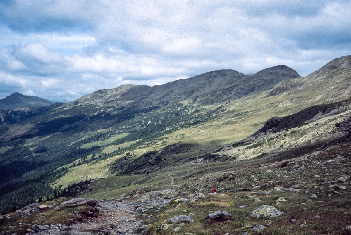 Kofeljocher Alm